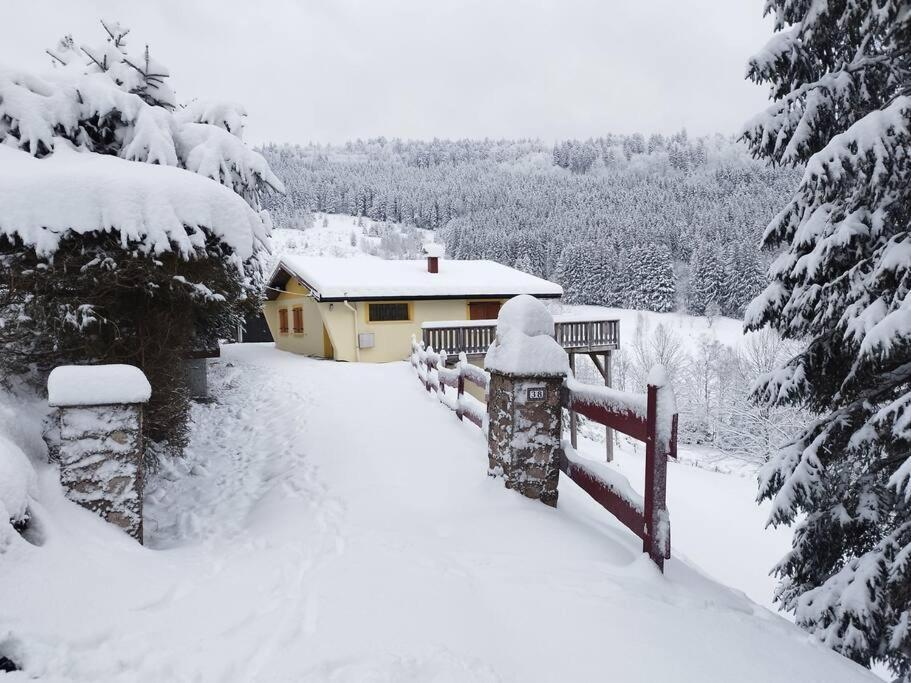 Maison De Montagne Vue Magnifique Ventron Eksteriør billede