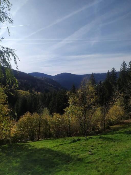 Maison De Montagne Vue Magnifique Ventron Eksteriør billede