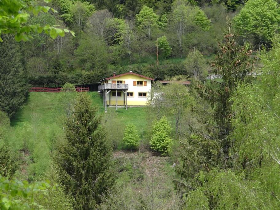 Maison De Montagne Vue Magnifique Ventron Eksteriør billede