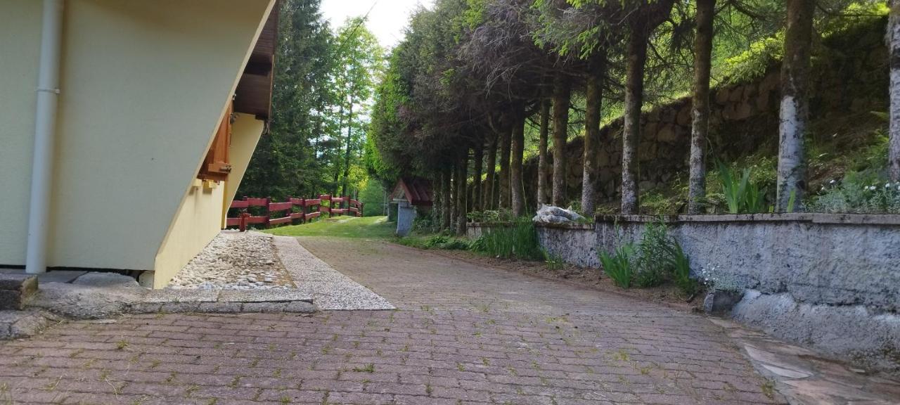 Maison De Montagne Vue Magnifique Ventron Eksteriør billede